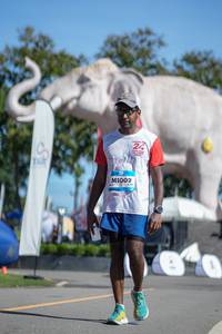 BIB: 
                            <button type="button" onclick="openModal(26545168)" class="btn btn-primary btn-sm float-right btn-popup" data-toggle="modal" data-target=".modal-high-quality">
                        <i class="fas fa-shopping-cart"></i> Add to Cart
                    </button>
                                            <button type="button" onclick="isThisMe(26545168, true)" class="btn btn-success btn-sm float-right btn-popup btn-isme hidden" data-toggle="tooltip" data-placement="bottom" title="นี่คือรูปของคุณใช่ไหม คลิกที่นี่เพื่อเอาเข้าอัลบั้ม">
                        <i class="fas fa-plus"></i> Add to album
                    </button>
                    <button type="button" onclick="isThisMe(26545168, false)" class="btn btn-warning btn-sm float-right btn-popup btn-isnotme hidden">
                        <i class="fas fa-ban"></i> Remove from album
                    </button>